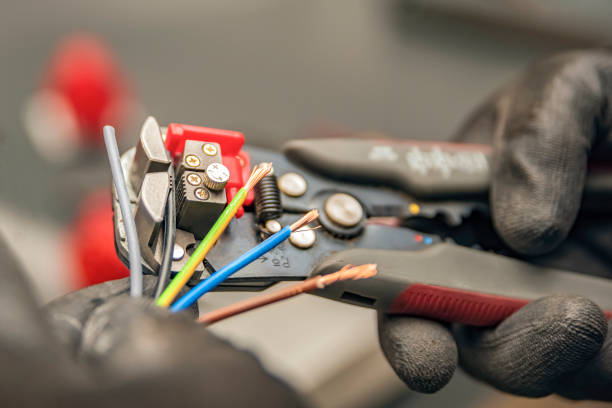 Best Electric Panel Repair  in Wharton, NJ